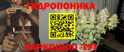 Альфа ПВП Аргун