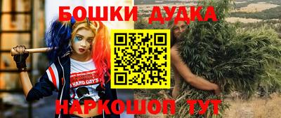 Альфа ПВП Аргун