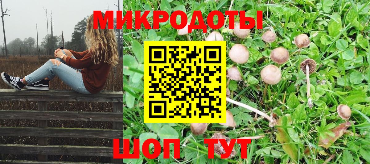 Псилоцибиновые грибы мухоморы Верхняя Салда